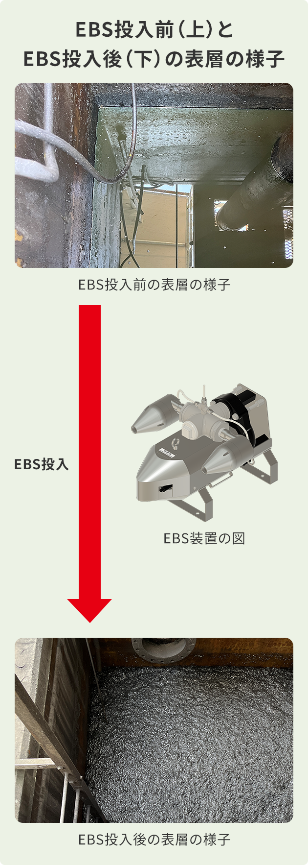 EBS投入前（左）とEBS投入後（右）の表層の様子