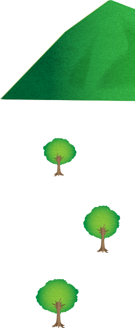 木々のイメージ