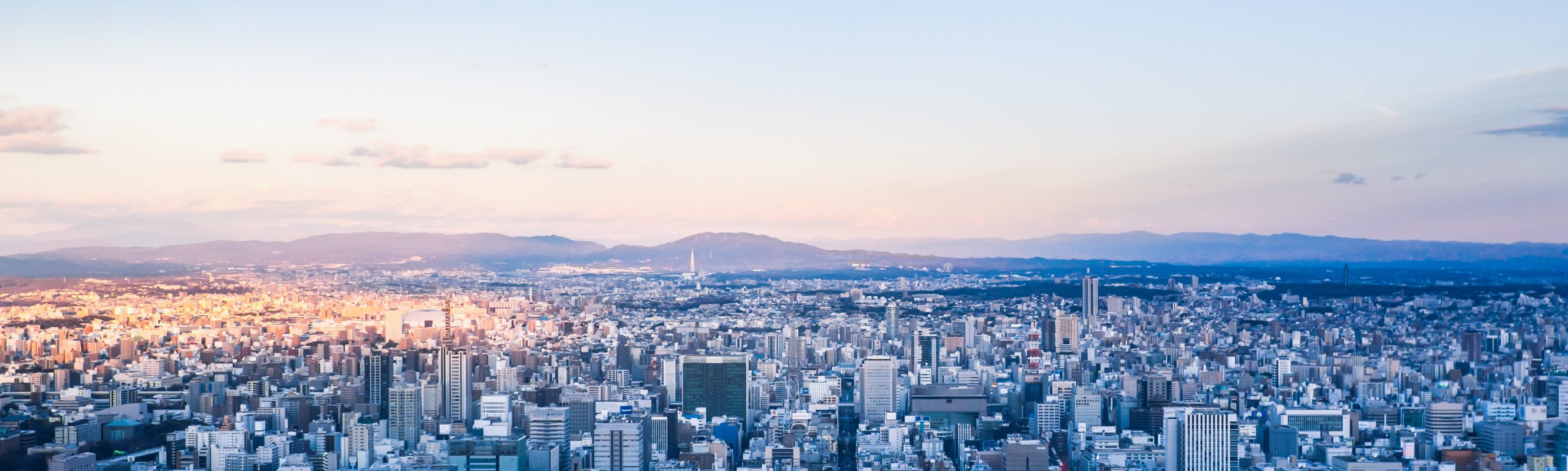 ミライズの目指す姿　イメージ画像