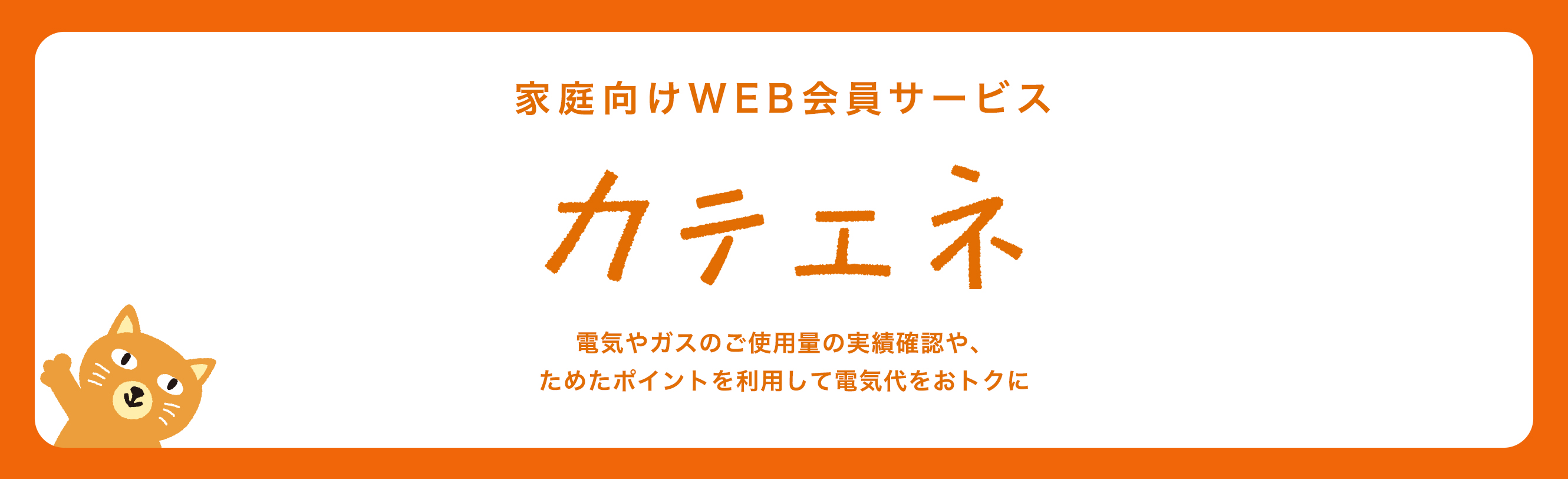  スポーツベットが運営する家庭向けWEB会員サービス「カテエネ」